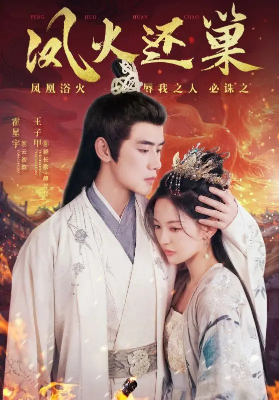 《凤火还巢》：探索中年危机与凤凰重生的感人旅程