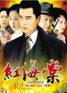 《红海棠》：战火下的爱情绽放，命运交织的凄美史诗